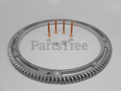 Briggs & Stratton 391362 Ring Gear - image 2