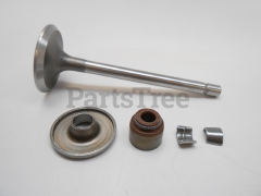 Snapper 806420 Use 843751: Valve-Intake - image 1