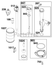 Briggs & Stratton 44N677-0041-B1 - Briggs & Stratton Vertical Engine Lubrication Group