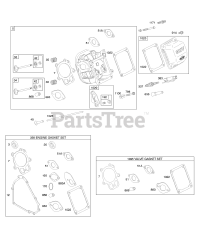 Briggs & Stratton 205437-0169-E1 - Briggs & Stratton Horizontal Engine Cylinder Head, Gasket Set - Engine, Gasket Set - Valve, Valves
