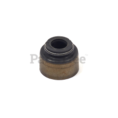 Briggs & Stratton 820405 Seal-Valve - image 1