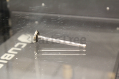 Snapper 555077 Use 211119s: Valve-Exhaust - image 4