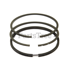 Snapper 394665 Use 499996: Ring  Piston Kit - image 3