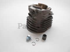 RedMax 503971871 Cylinder Assembly - image 1