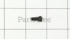 Snapper 91017 Filter Head Screw - image 4
