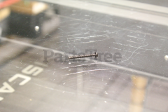 Echo 9148104035 Tapping Screw