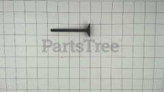 Toro 120-7413 Intake Valve - image 1