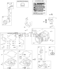 Briggs & Stratton 31D707-0601-E2 - Briggs & Stratton Vertical Engine Crankshaft, Cylinder, Engine Sump, Gasket Set - Engine, Operator's Manual, Piston, Rings, Connecting Rod, Warning Label