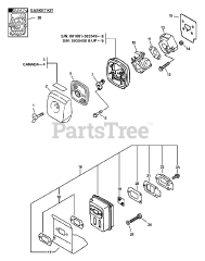 Echo PPT-2100 - Echo Pole Saw (Type 1E)