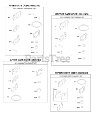 Briggs & Stratton AA0101-0020-01 - Briggs & Stratton Outboard Engine