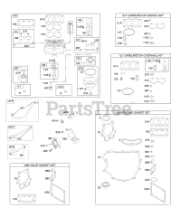 Briggs & Stratton 446977-0385-E1 - Briggs & Stratton Vertical Engine Carburetor, Gasket Set - Engine, Gasket Set - Valve, Kit/Gasket Set - Carburetor