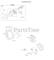 Briggs & Stratton 96302-0109-F1 - Briggs & Stratton Horizontal Engine Blower Housing/Shrouds, Flywheel, Rewind Starter