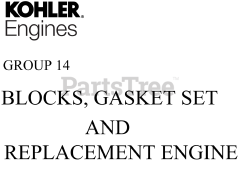 Kohler ZT730-3027 - Kohler Confidant Engine, Made for Excel, 23hp, 747cc 14 Blocks,Gasket Set,Replacement