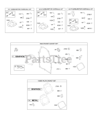 Briggs & Stratton 303447-1237-E1 - Briggs & Stratton Horizontal Engine Carburetor Overhaul Kit, Engine &amp; Valve Gasket Sets